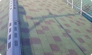 ディプロマットスター